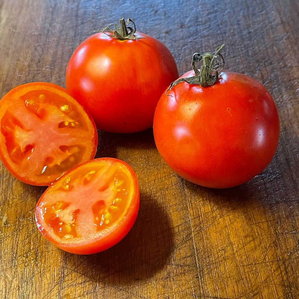 Abe Lincoln Tomato